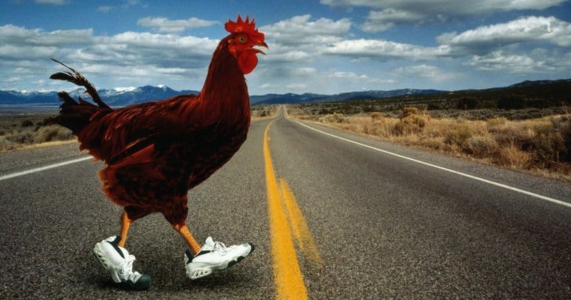 Juego chicken road in Spain